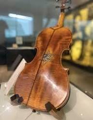 A brown violin stands upright inside a glass display case.